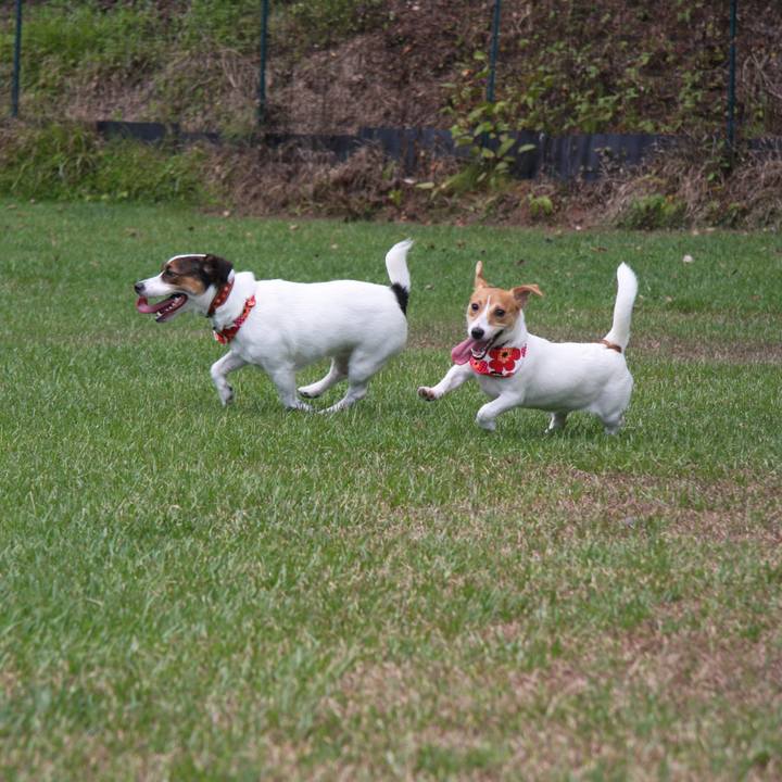 5969d13a 9daf 4bd3 aa27 4e02c2a441d5