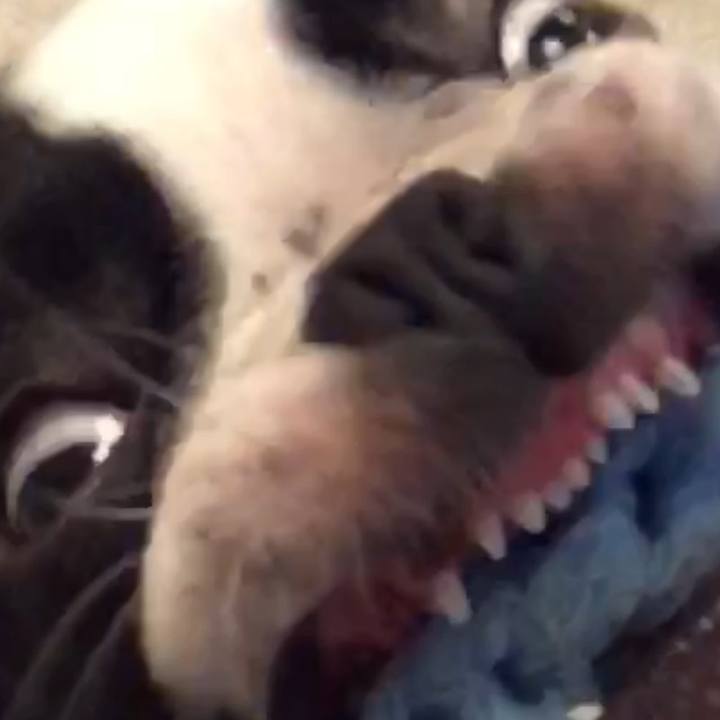 596a0933 e65a 4079 859e a5750d18e7f5