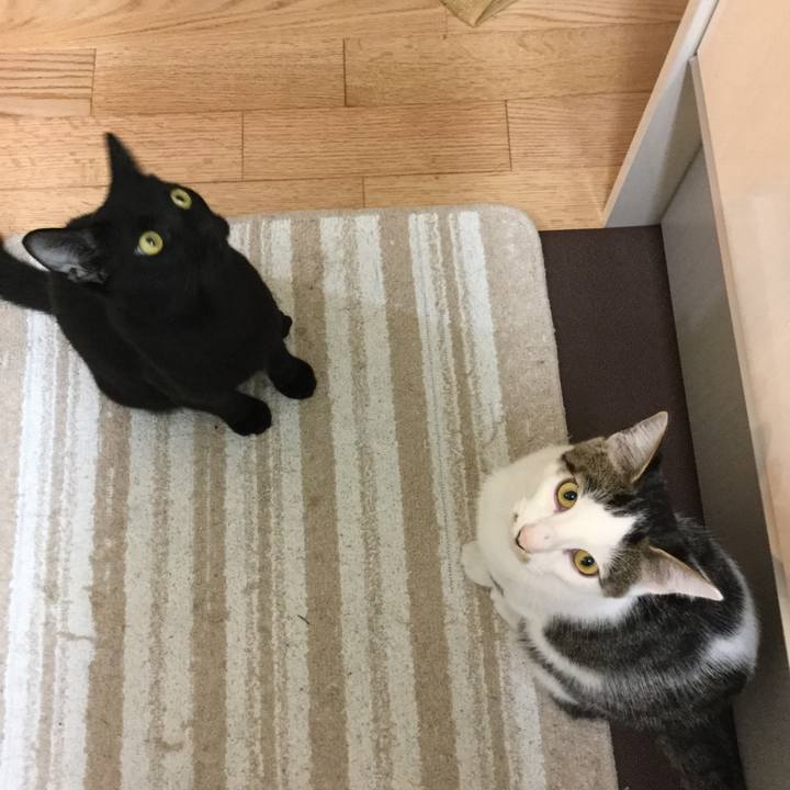 596a91d1 d330 406f 9166 d6869971d204