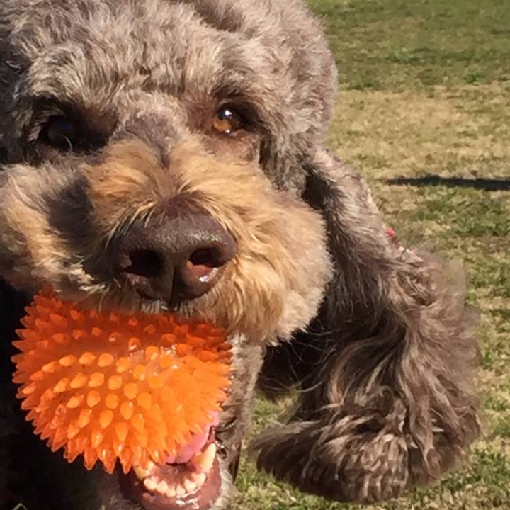 596acd1d 129f 41db aa31 d3659ce593c1