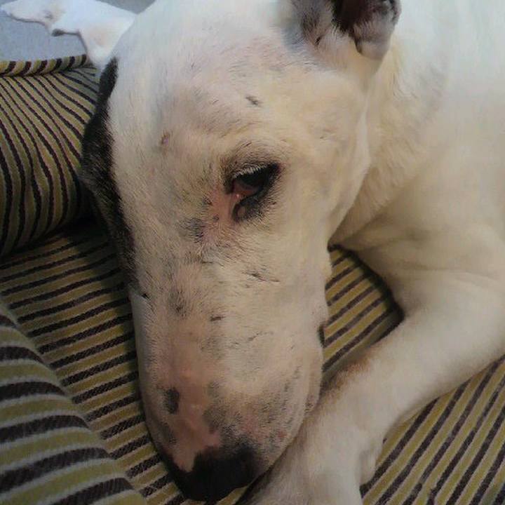 596bb953 01a3 4f3a 827a 94da3b6b7518