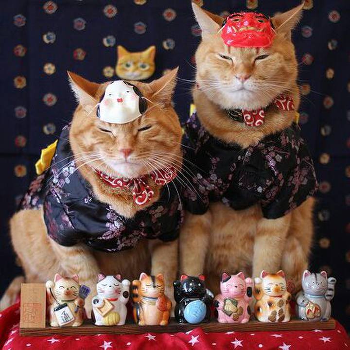 596bf24d 1e7a 4e2a 9212 21e236cf45df