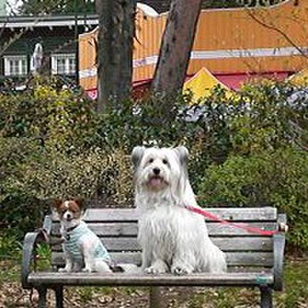 596c4e60 1a8d 428e a298 7ccc309484b4