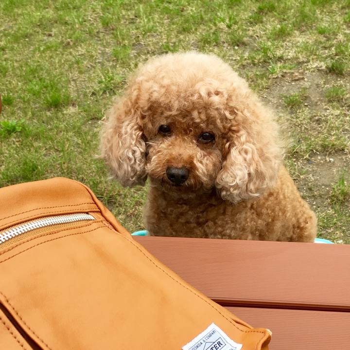 596cf4c9 fd83 400a 8ba1 a5be356c05db