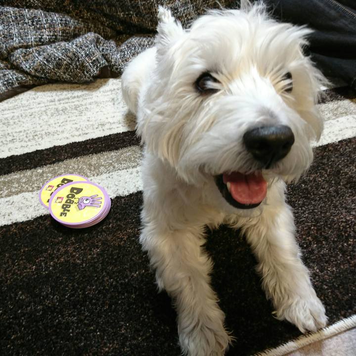 596d5a76 a9a0 48a5 9c29 3288a4c4af82