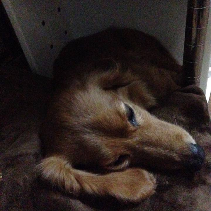 596d66ff df2b 43d3 802f ac3912bdca70