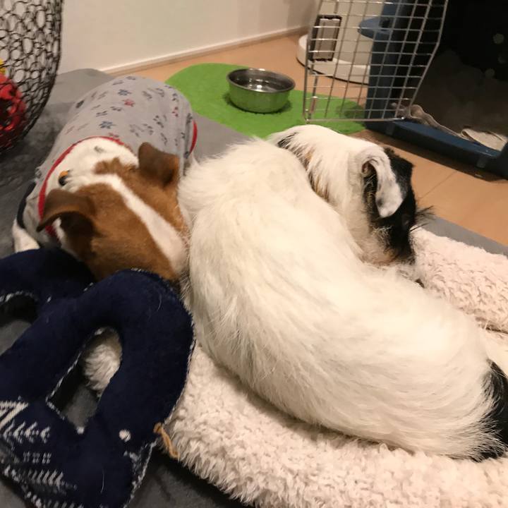 596d745e b4d0 4487 b60c ac8a3a04bfd1