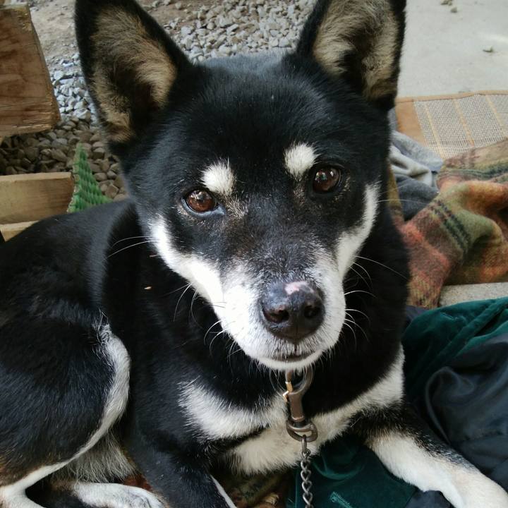 596d8dea 8b82 4639 8b67 7622d109384f