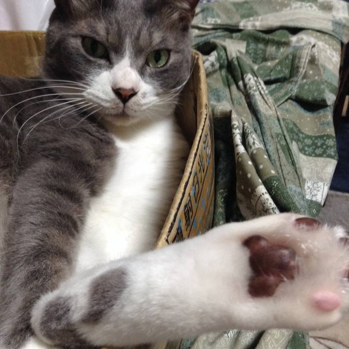 596e8634 16d2 4f44 a704 347dabf0433b