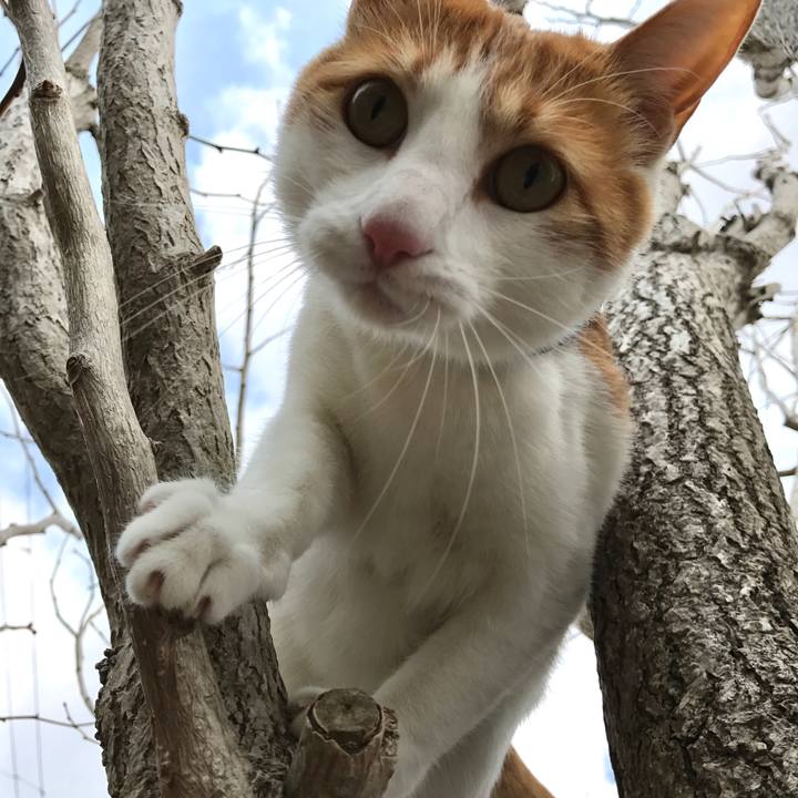 596ea2f3 680e 404b add1 eec96c360c3e