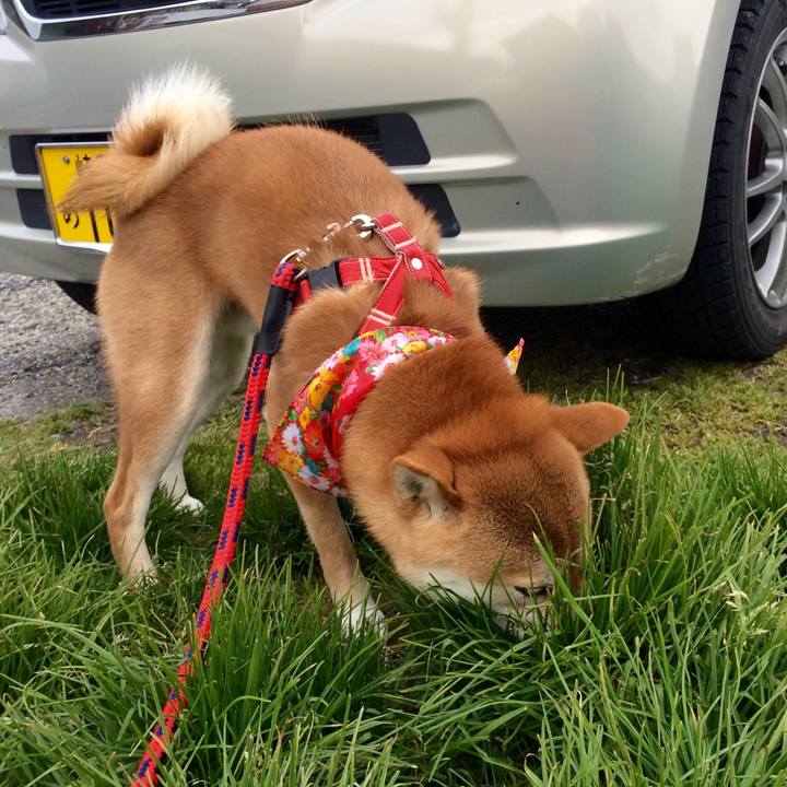 596fa40e 2518 485e b53f 490b2f985ac6