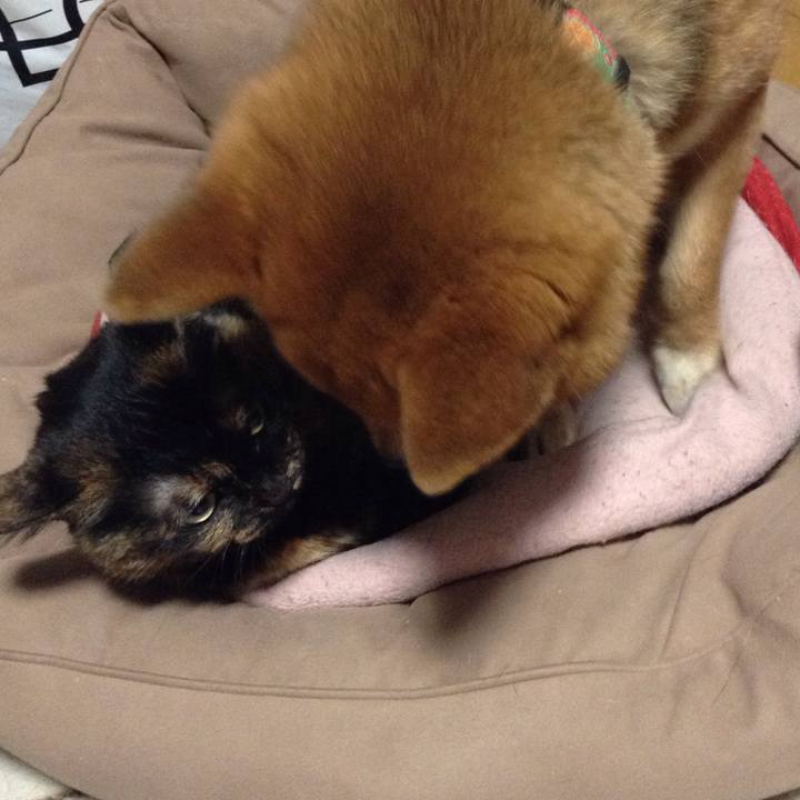 596fac5a a602 46f5 9ad5 76f0d905e465