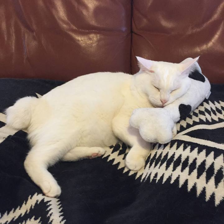 59701289 d3ec 4bae ade3 20207824779d