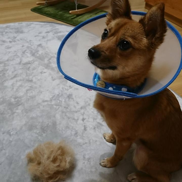 5970342f 44b5 43ba 8d60 7aa3899c9325