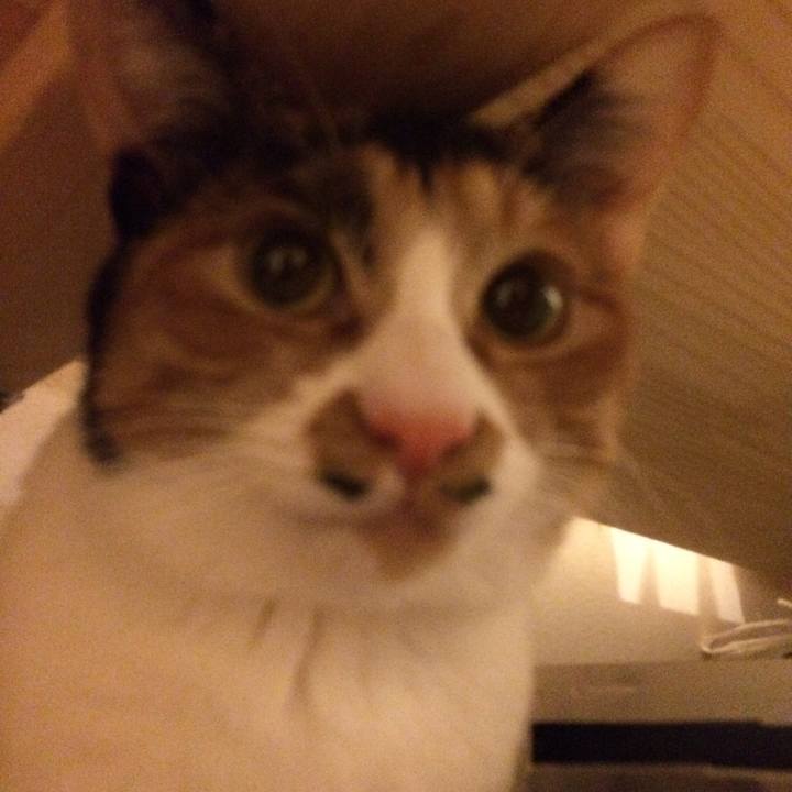 59703916 0e66 4be0 889b 24b101e945cd