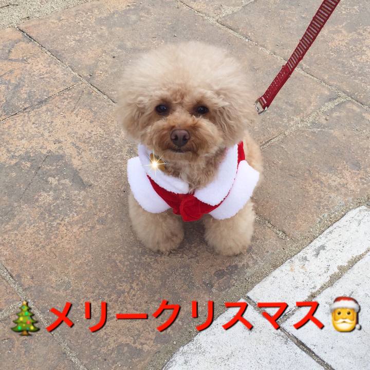 5970a5c2 d9be 43cd 8b9b f48f4e1f203b