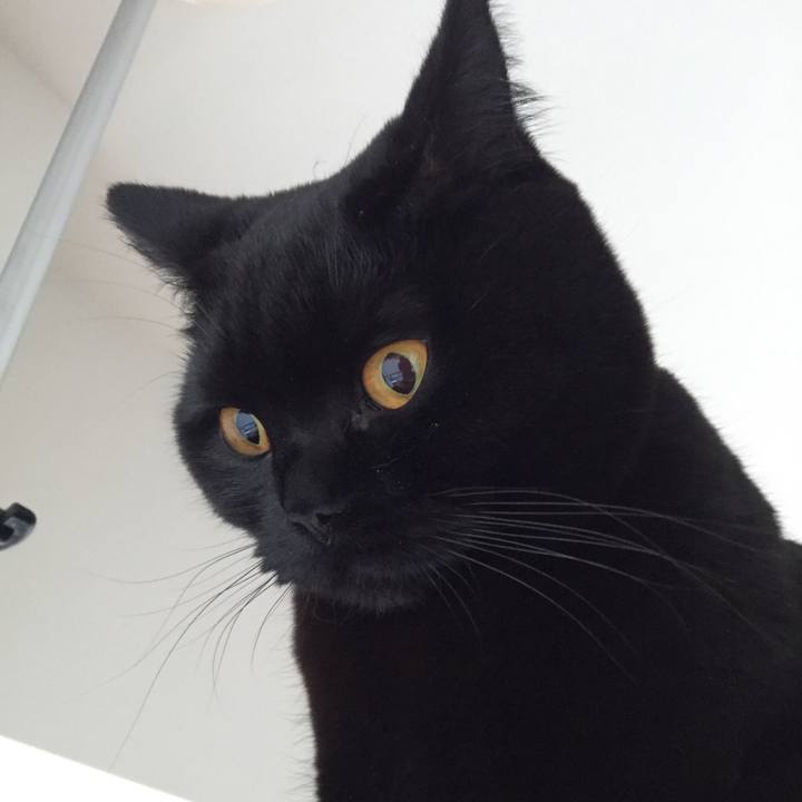 5970b412 2e28 4cac 8cd5 512aa62b40c7