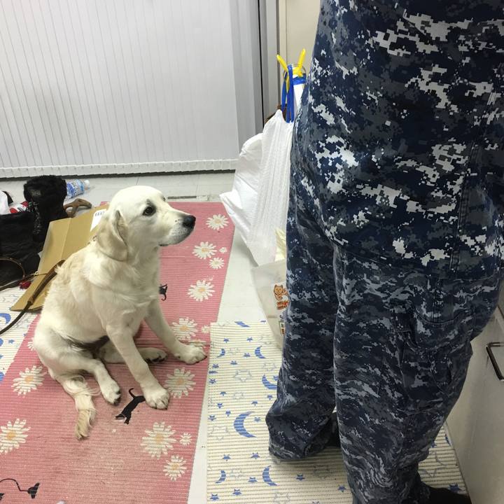 5970b41e c167 47b6 bfeb 346d85308f9f