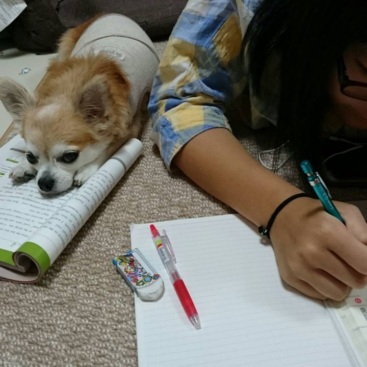 59710667 6d00 4ddd 81f4 f1986372c3d3