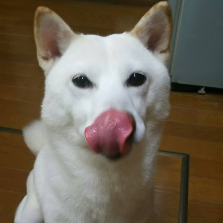 59713176 4cdc 4d07 a4e0 e3a02a08d35f