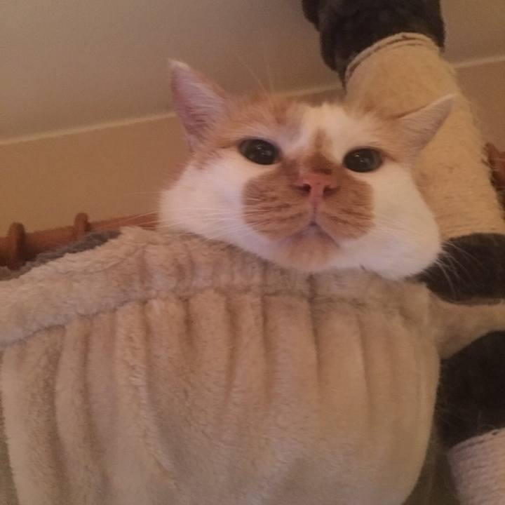 5971f1e6 3948 4381 a614 4967f1a5f9fc