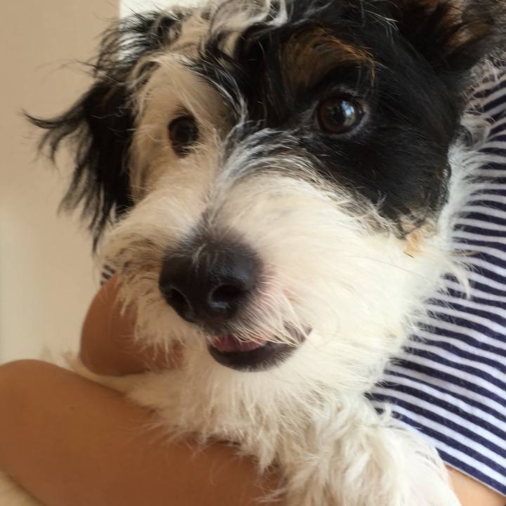 5972adcc c536 407b 9594 42bfe6caae76