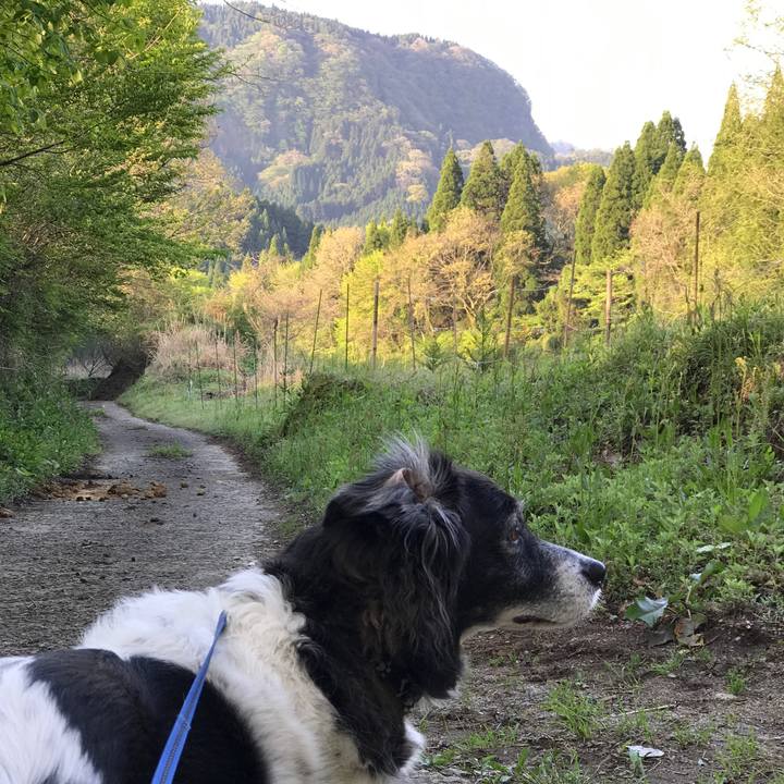 597351dd 2da8 4d92 8b27 6d30cdc20e31