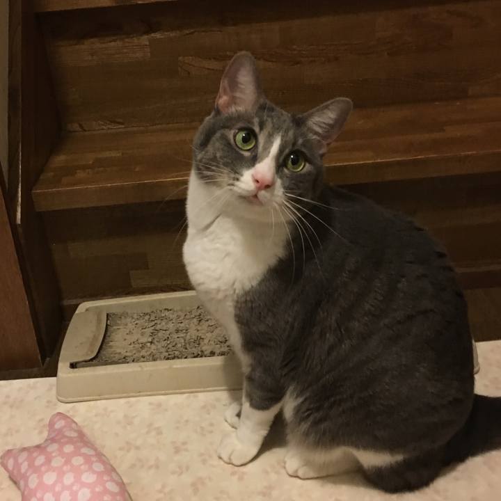 59736518 7a35 42c7 9186 47d863e8da41