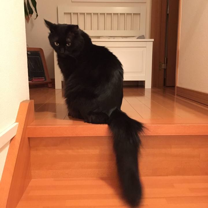 5973ce30 fab7 4e24 8da1 29f3795007b8