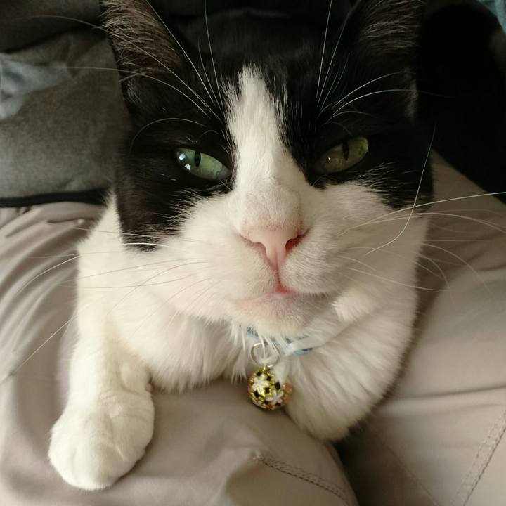 5973d98b a644 4578 af60 90e8a1c646bf