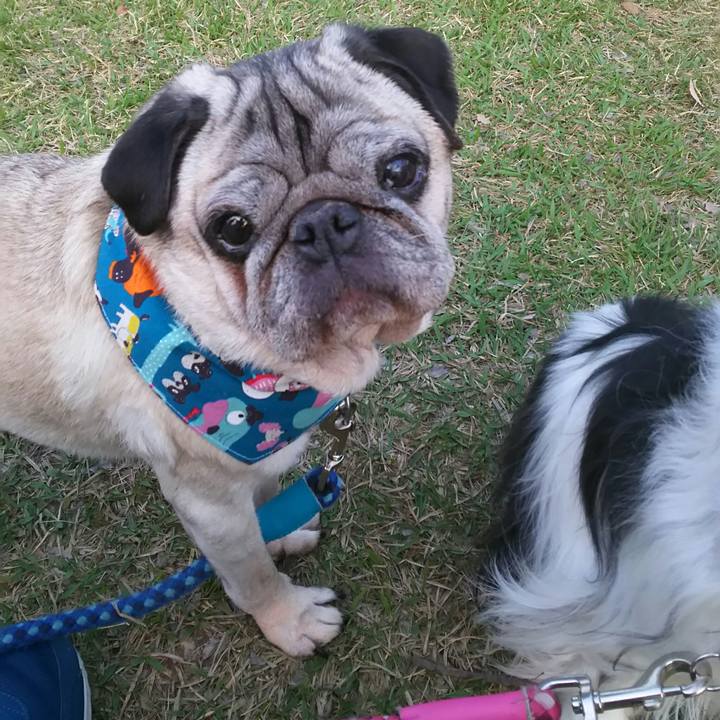 59740b54 f21c 4da7 b5b2 dd7367bced53