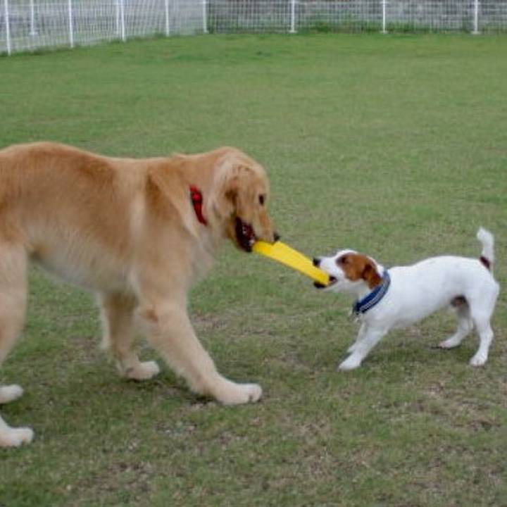 59742043 41c6 4558 99be 05745f43e900