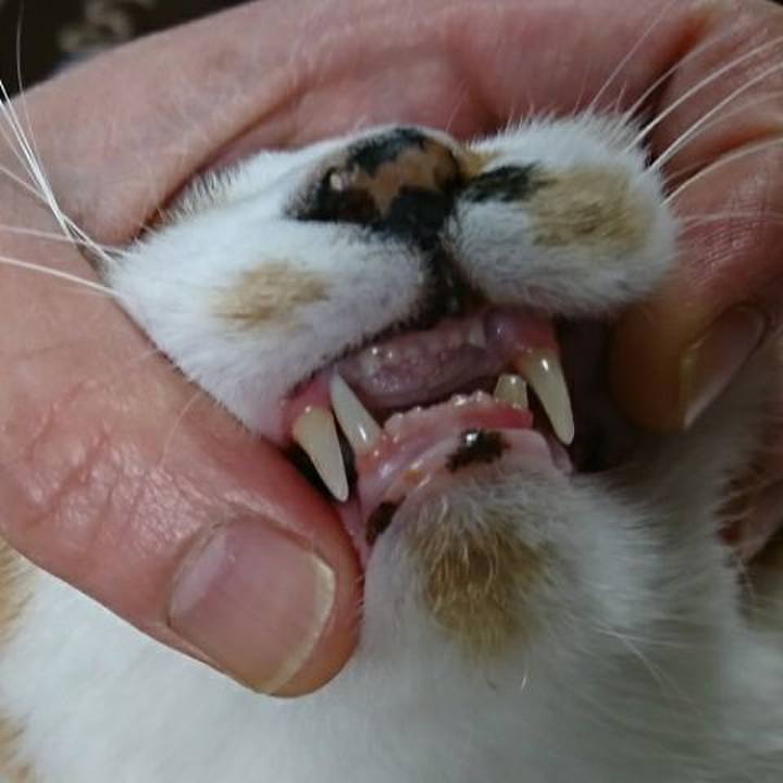 59746cca 39d3 44e3 a55e 4ec1df548d02