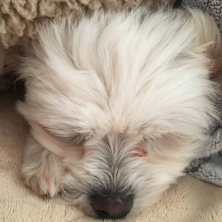 59749556 0d88 4277 bb2e 9f50faa0a68d