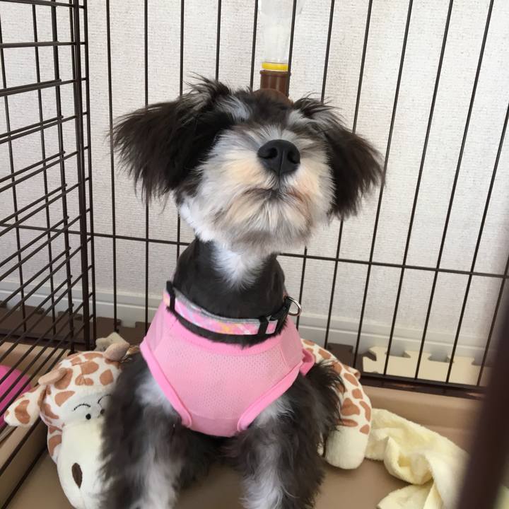 59749729 1582 46ff 9e5d e05e2540ff68