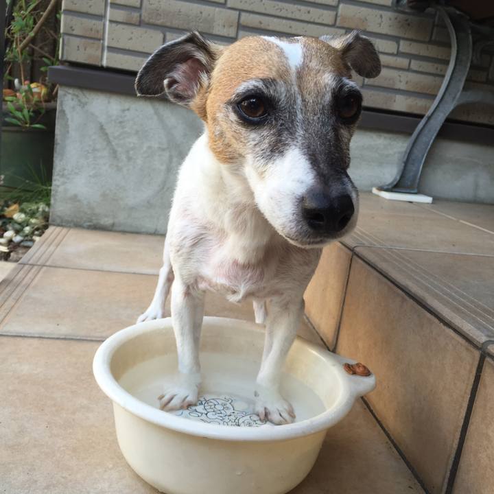 5974e04b 5b97 4432 92ae 37bda4d89396