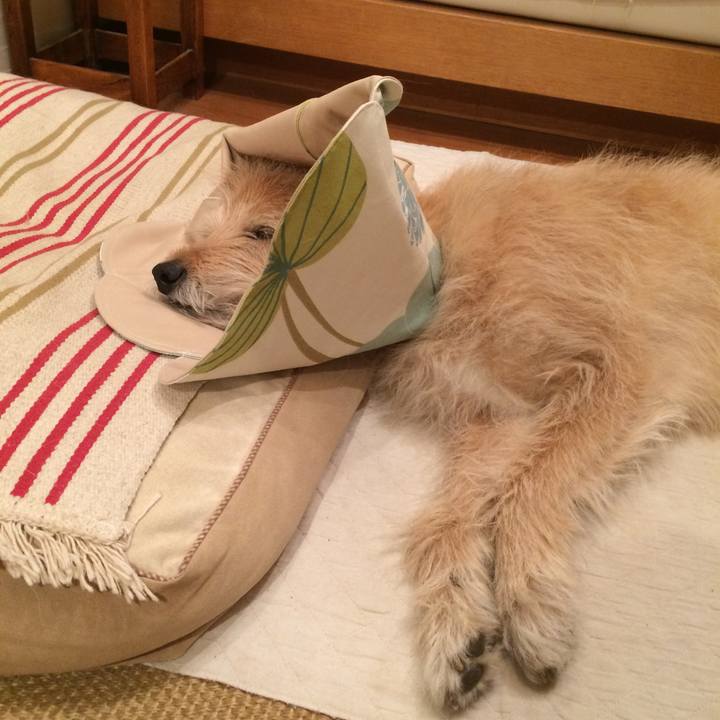 59752db1 01b7 41dc ac9c 389b1b67704c