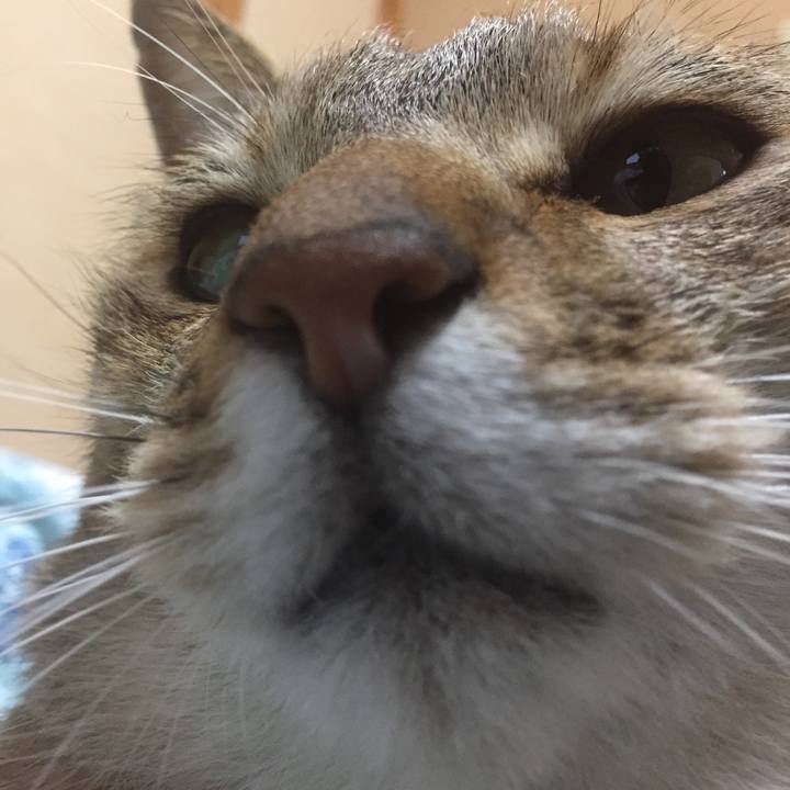 5975f256 f0b5 4f26 9cc3 33be50d5273f