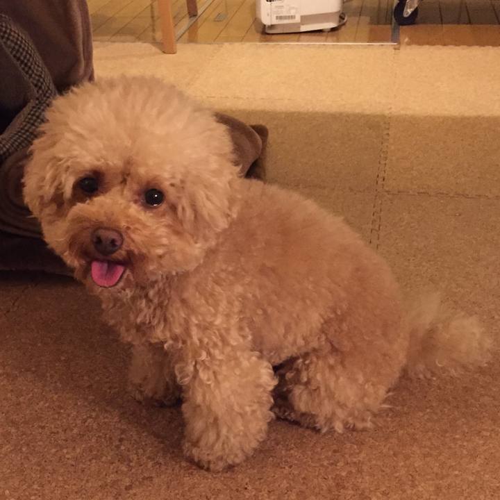 597659c1 9638 45f5 bd27 5e6d90d160f9