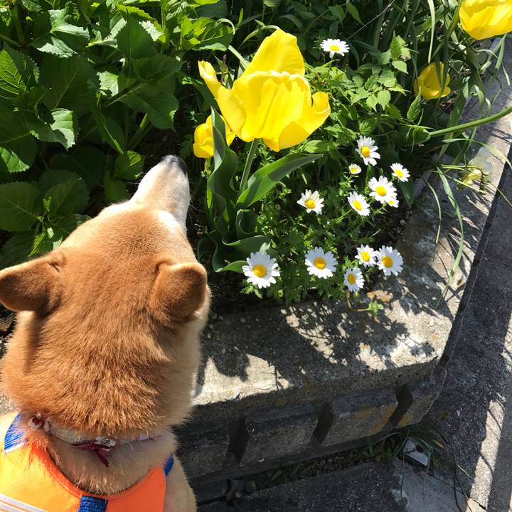 59766899 43a9 4629 abda abec1d942344