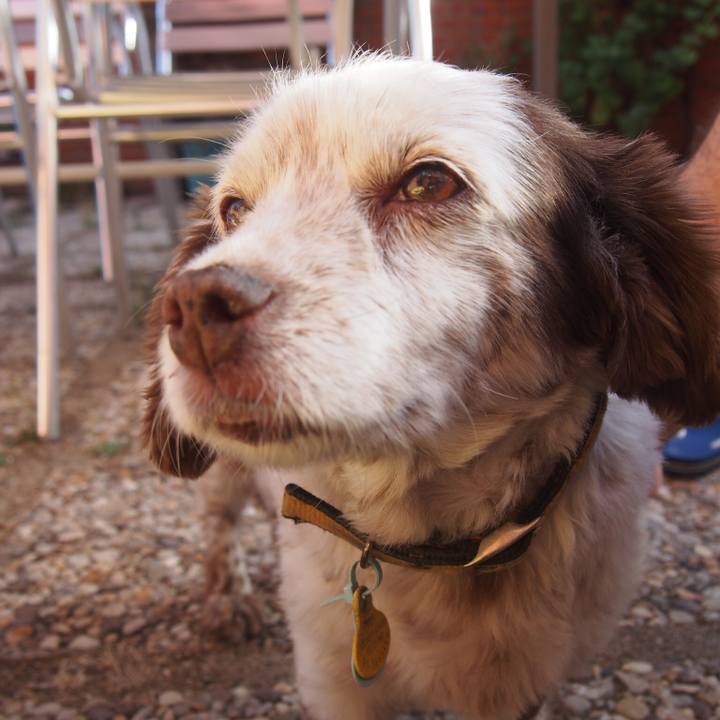 5976a29e e1e7 4d50 86c5 9c62181a5a30