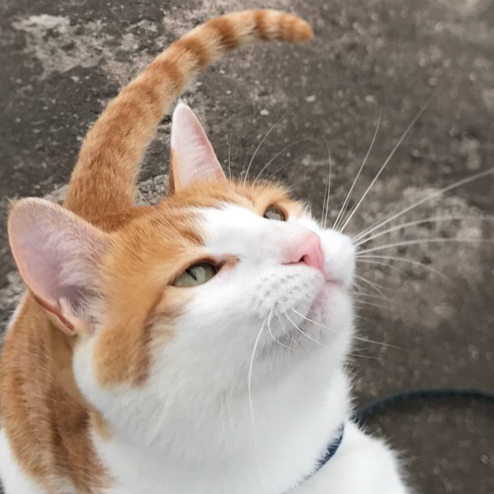 597715fe 6922 4076 88e0 279da505b1aa