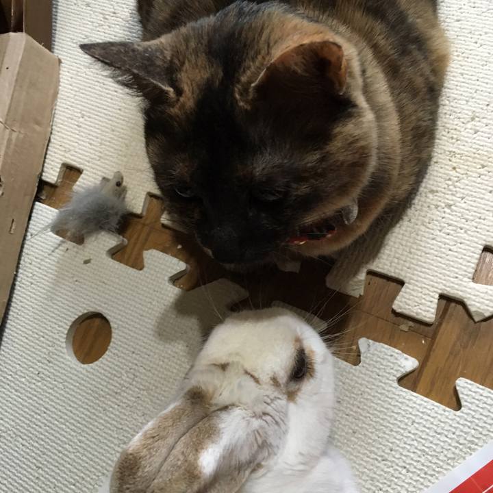 59777dbc 7c0a 4ab0 8956 098413d2ecbd