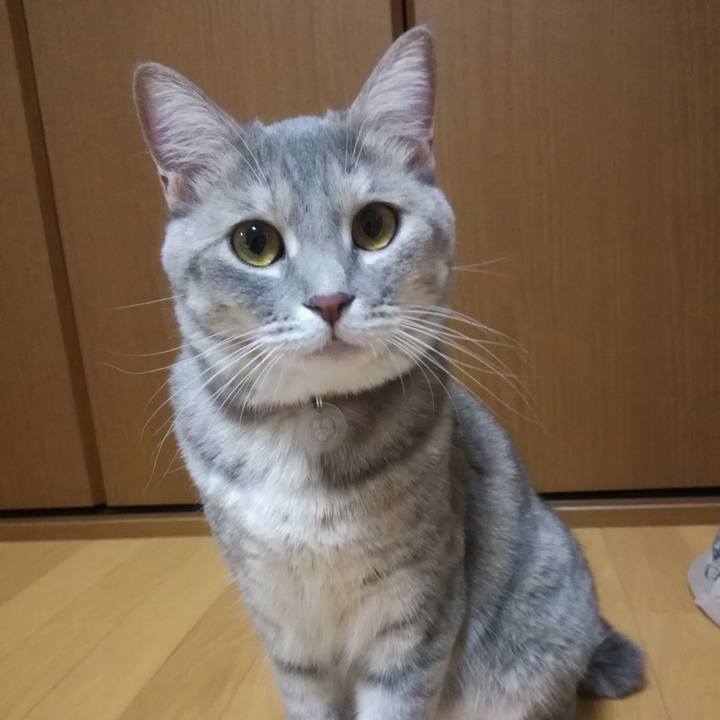 5977ea1e 5ec9 4c17 ab51 46328f14c8f5