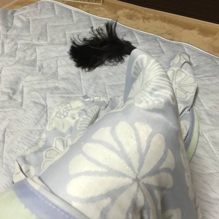 597835e8 9ef1 4036 bfa3 3d770881ea7b