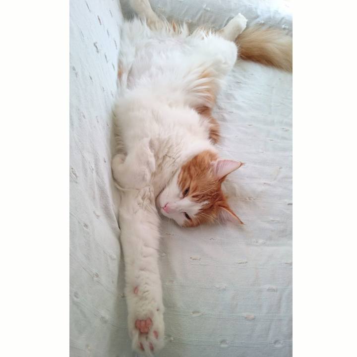 59784d08 1b13 43a7 8aa5 0825961d4508