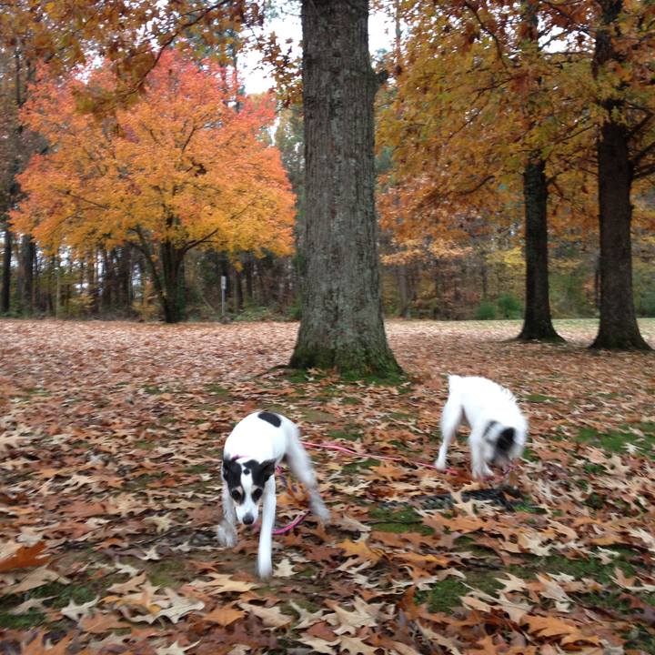 5978562a 1b8b 410f 9a62 8ad3b12b67e3