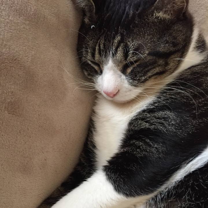 5978992b 345e 4e4c 9b42 a0185de0c086