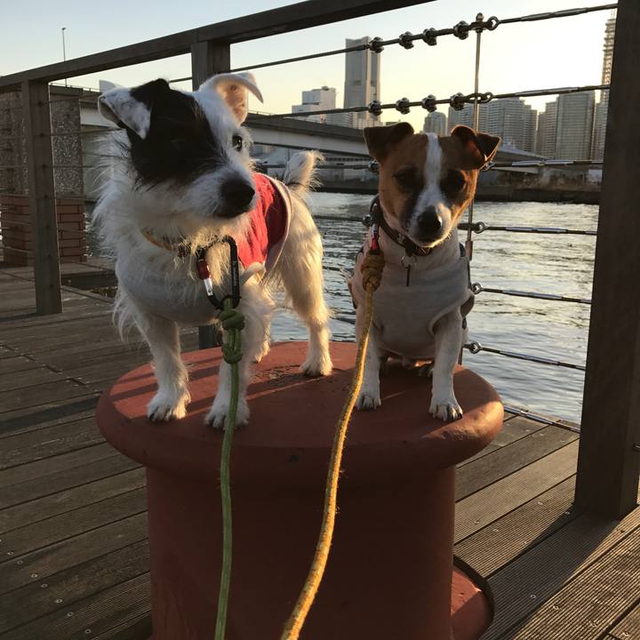 5978c4c0 831a 4859 a72d cca011b80182