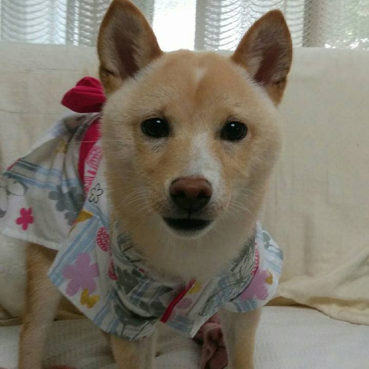 59790737 ea64 4c7c b531 542465499b09